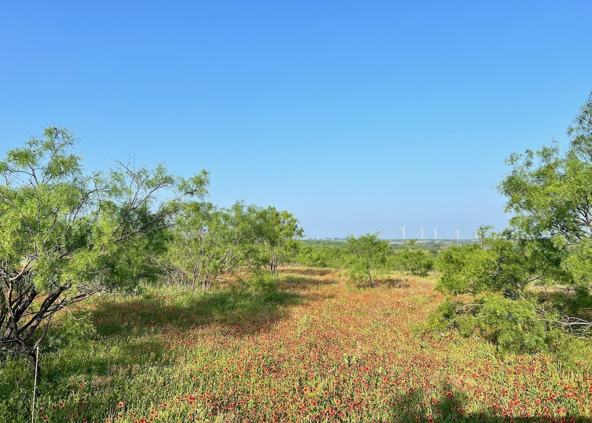 30.57 acres in Comanche County - photo 4