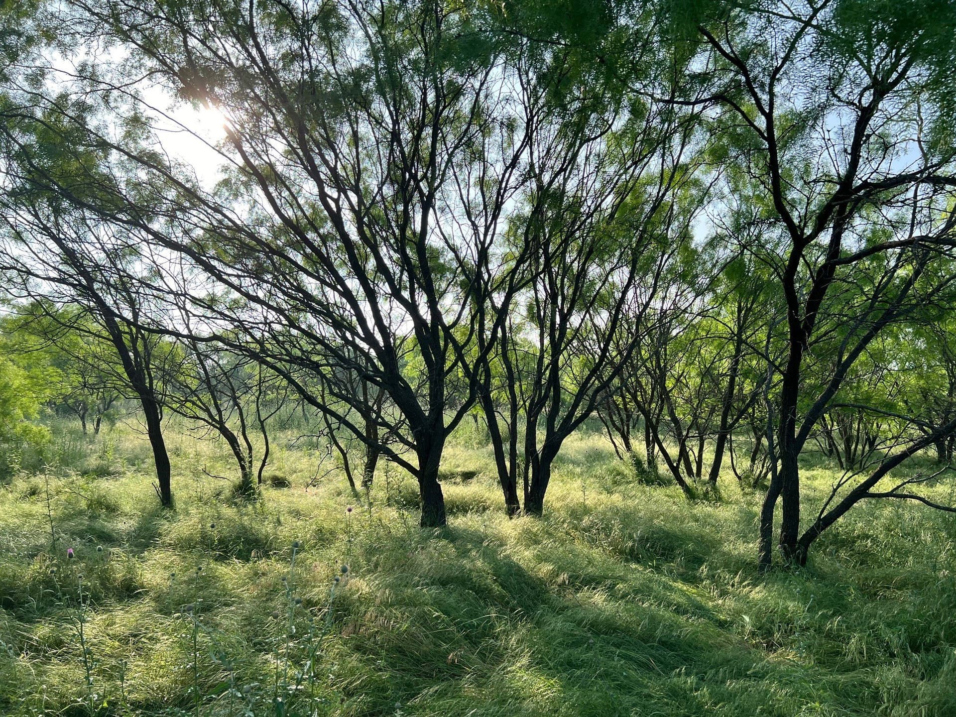30.57 acres in Comanche County - photo 11