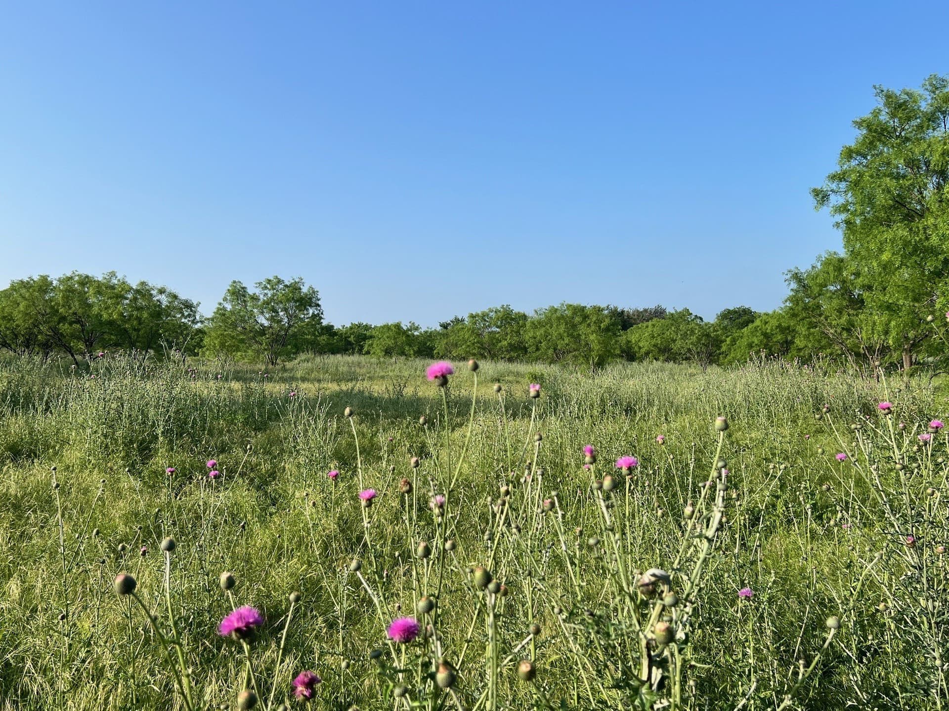 30.57 acres in Comanche County - photo 8