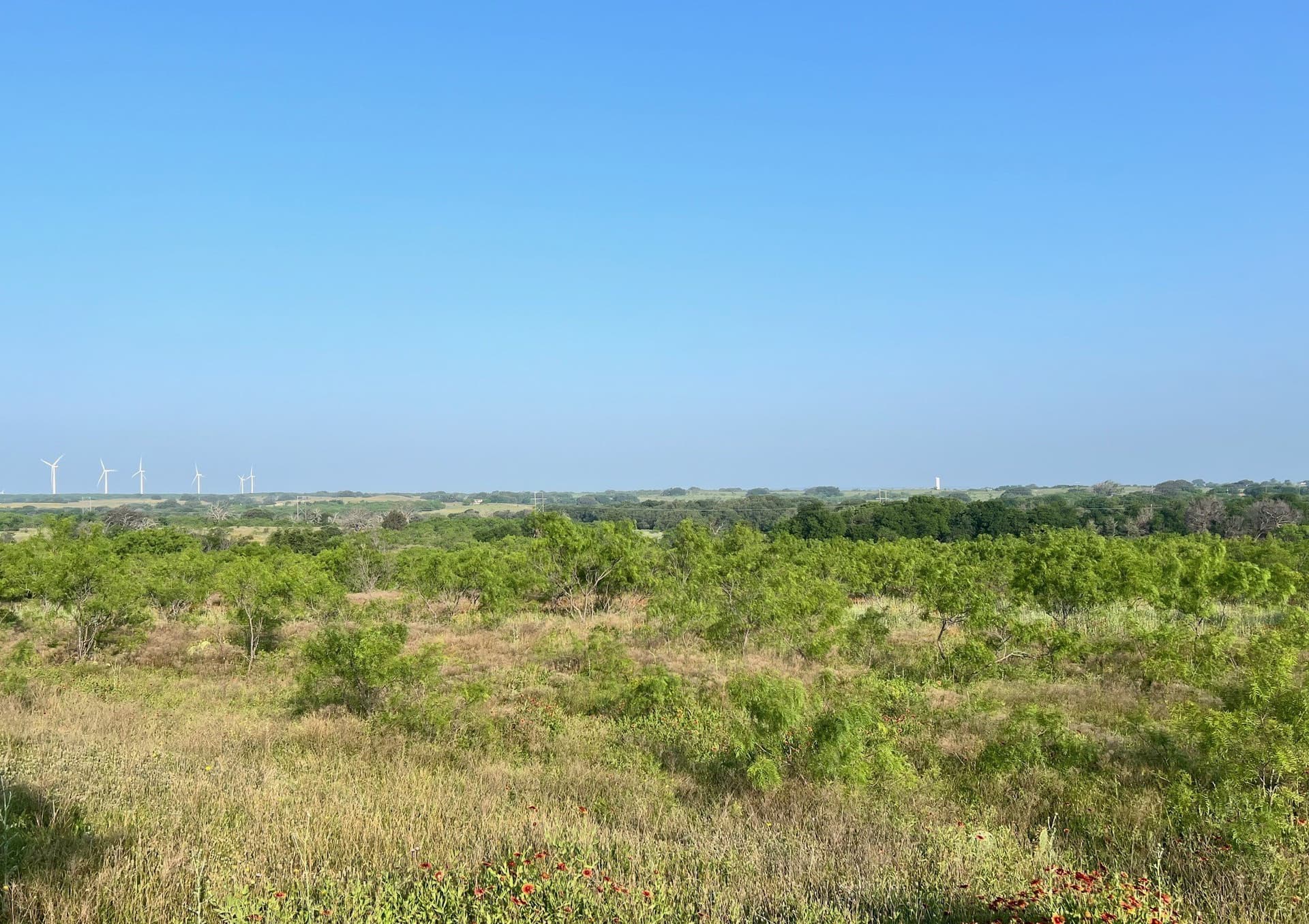 30.57 acres in Comanche County - photo 5