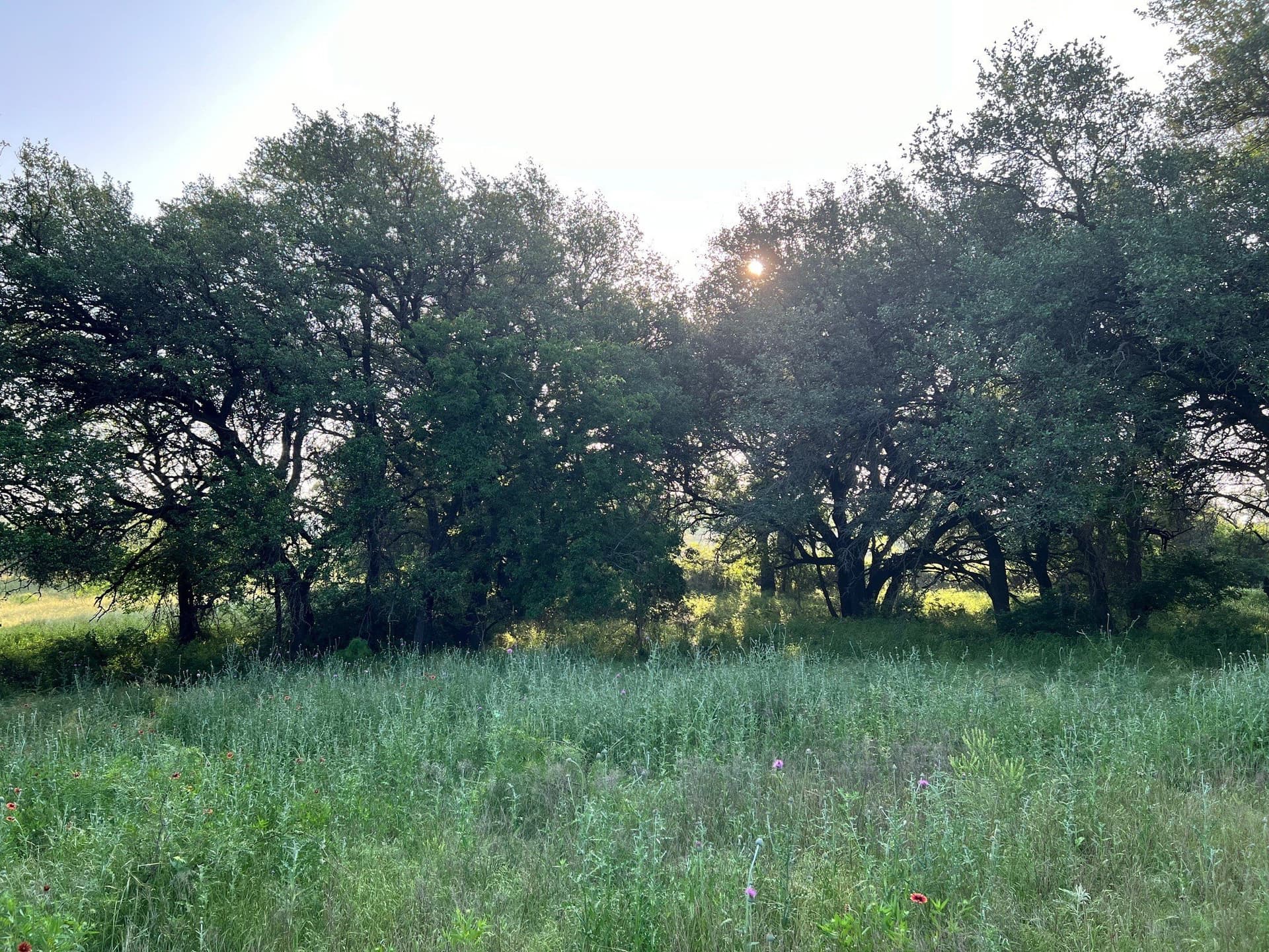30.57 acres in Comanche County - photo 2