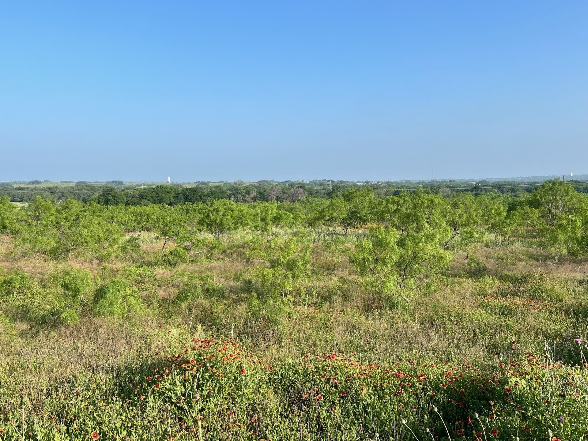 30.57 acres in Comanche County - photo 6