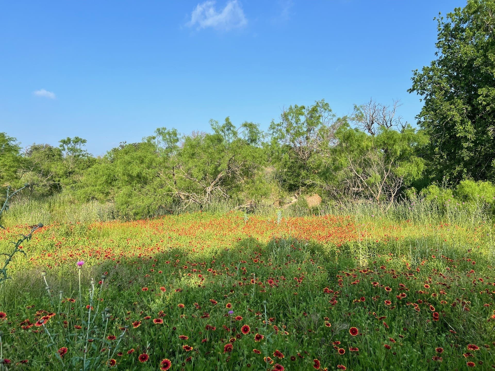 30.57 acres in Comanche County - photo 10