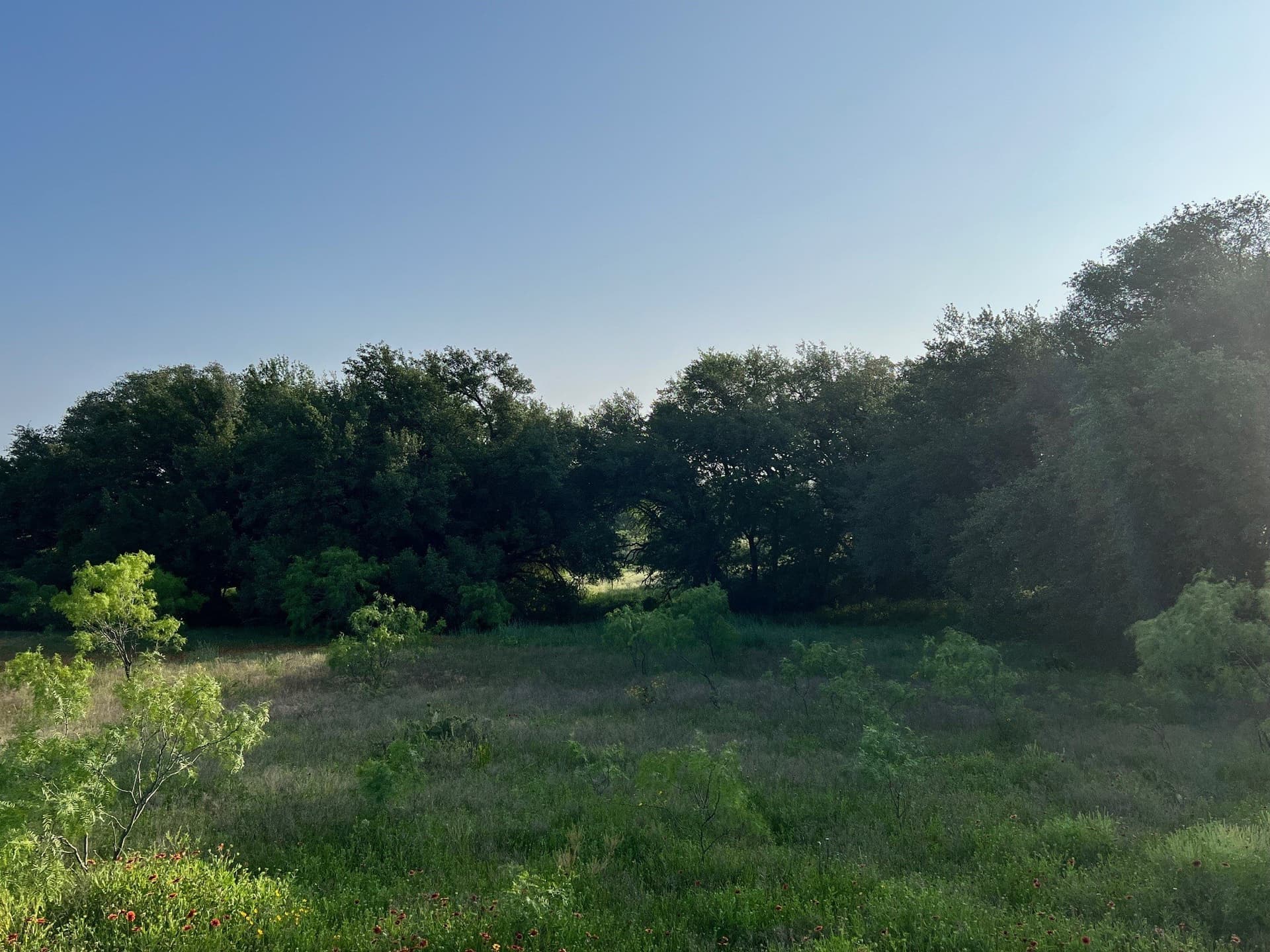 30.57 acres in Comanche County - photo 3