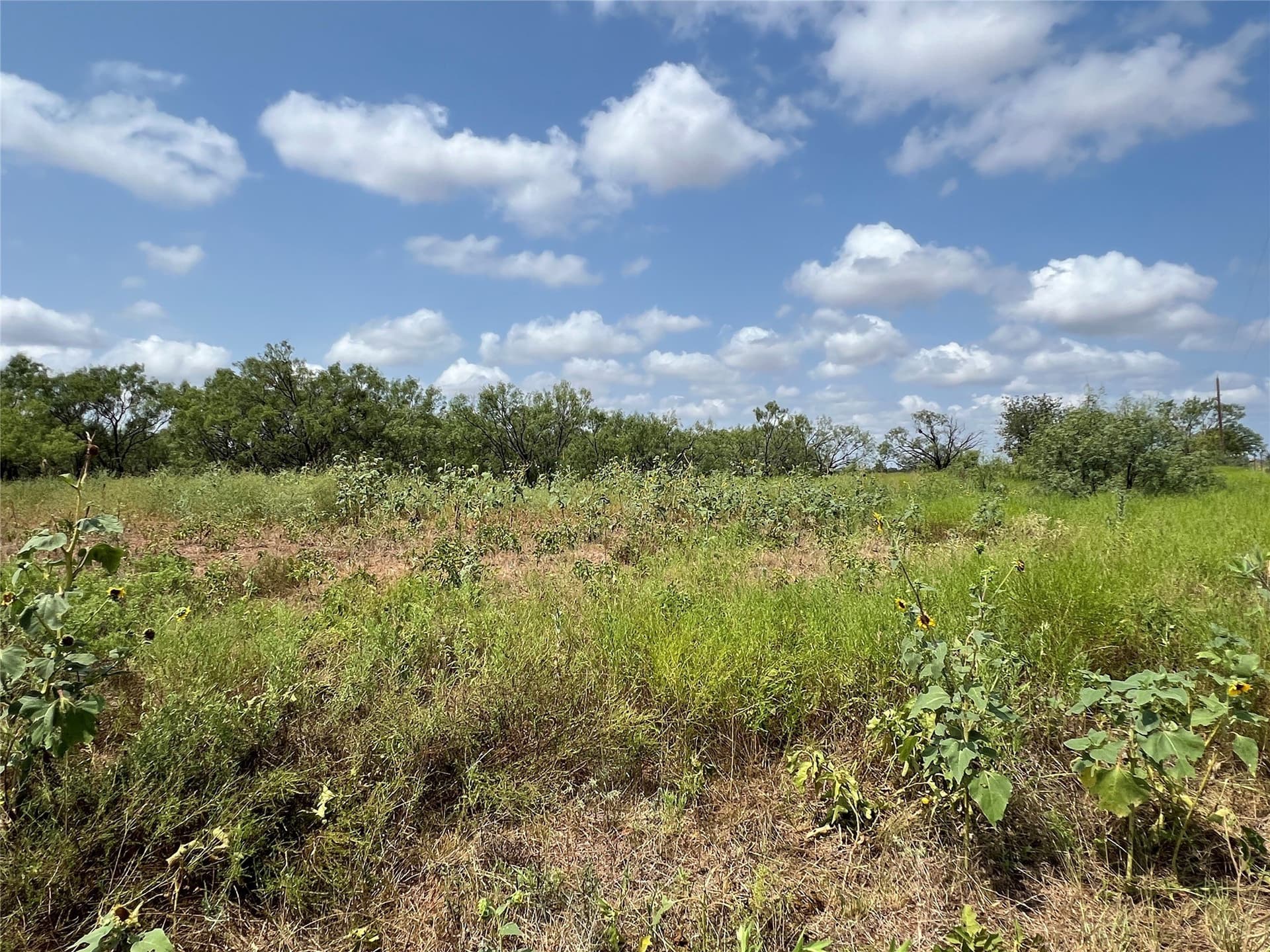 8.75 acres in Taylor County - photo 2