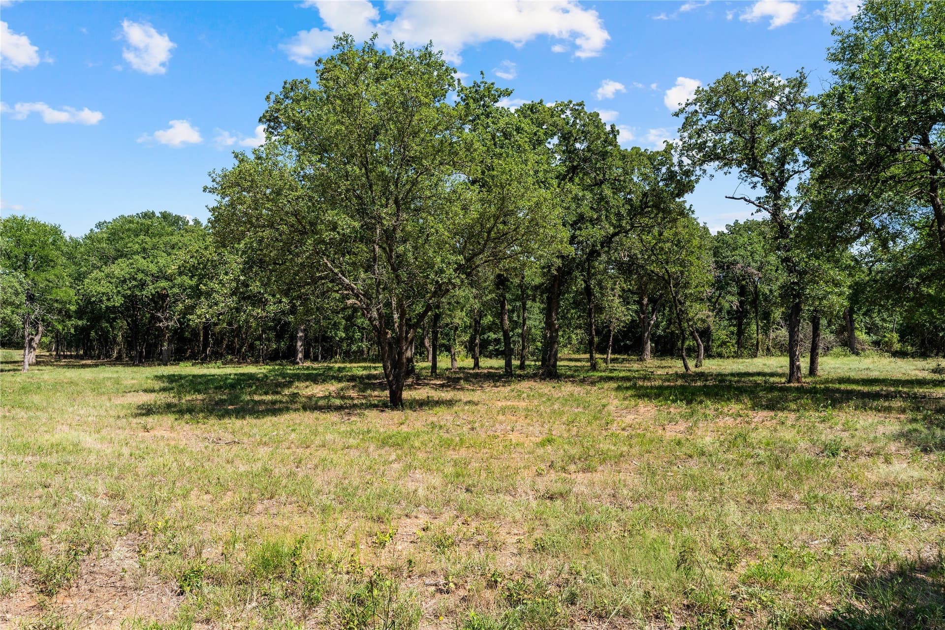 3.3 acres in Hill County - photo 4