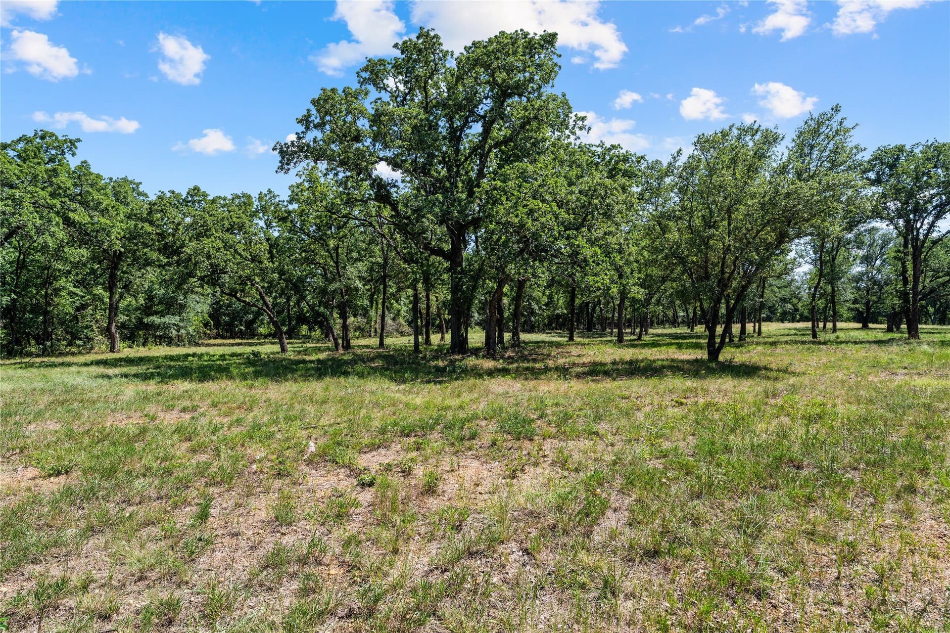 3.3 acres in Hill County - photo 3