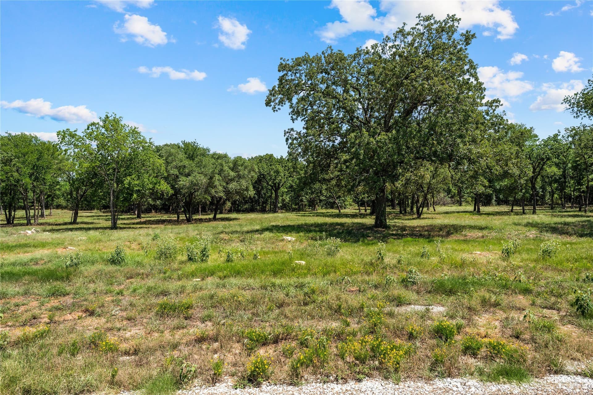3.3 acres in Hill County - photo 2
