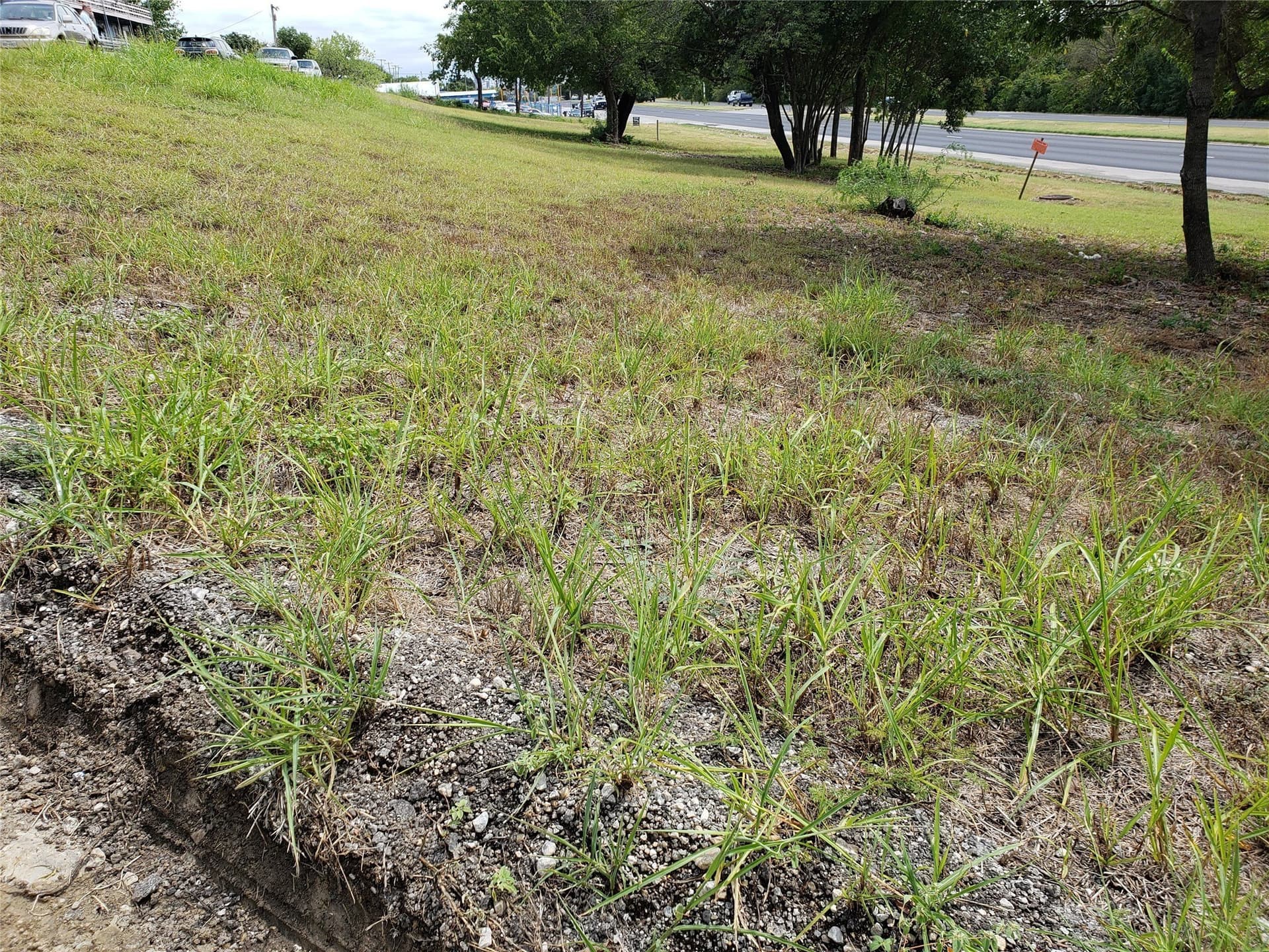 1.39 acres in Tarrant County - photo 12