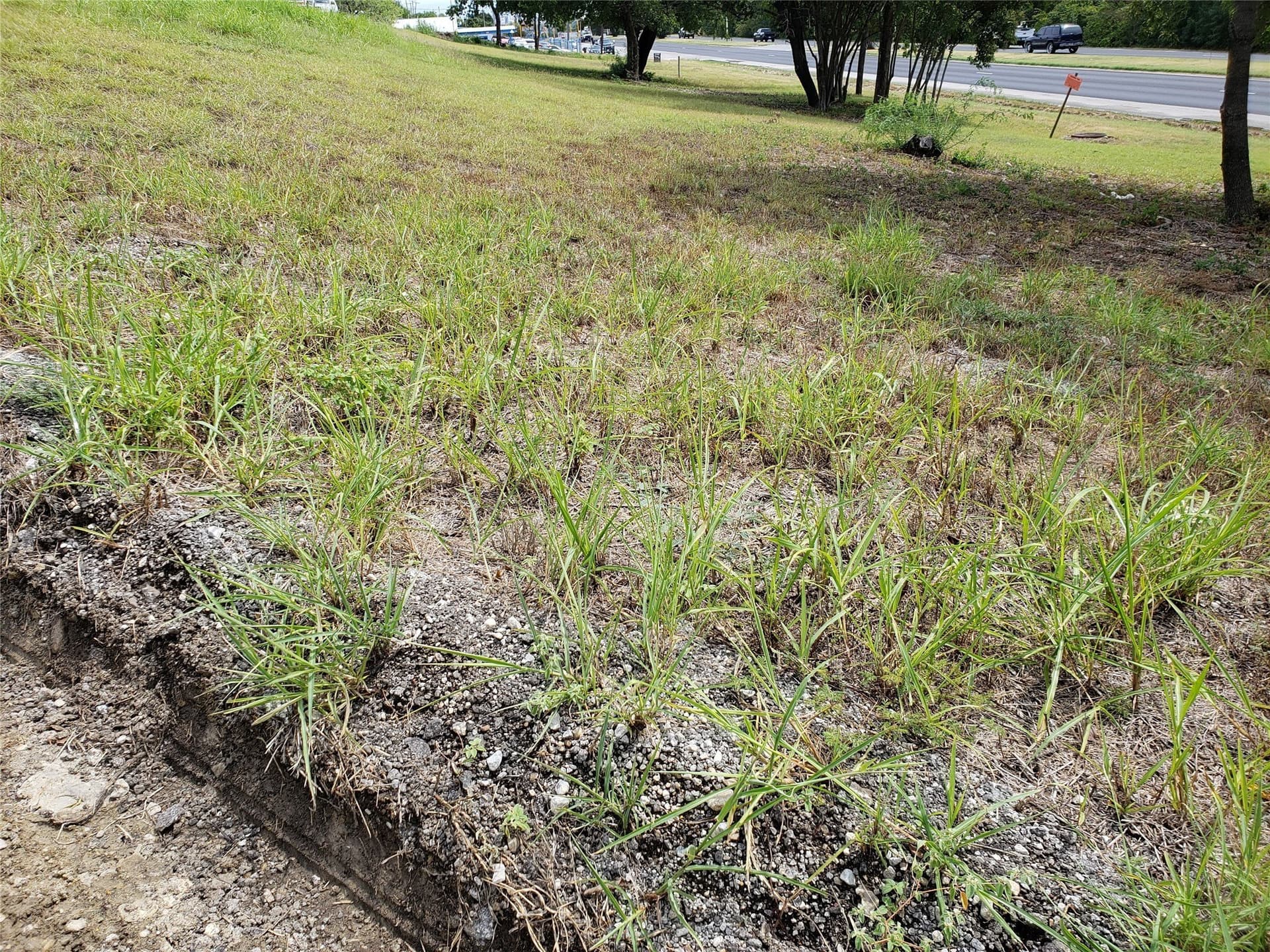 1.39 acres in Tarrant County - photo 11