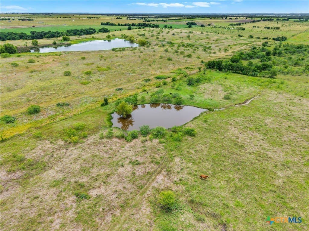 10.01 acres in Milam County gallery image 2