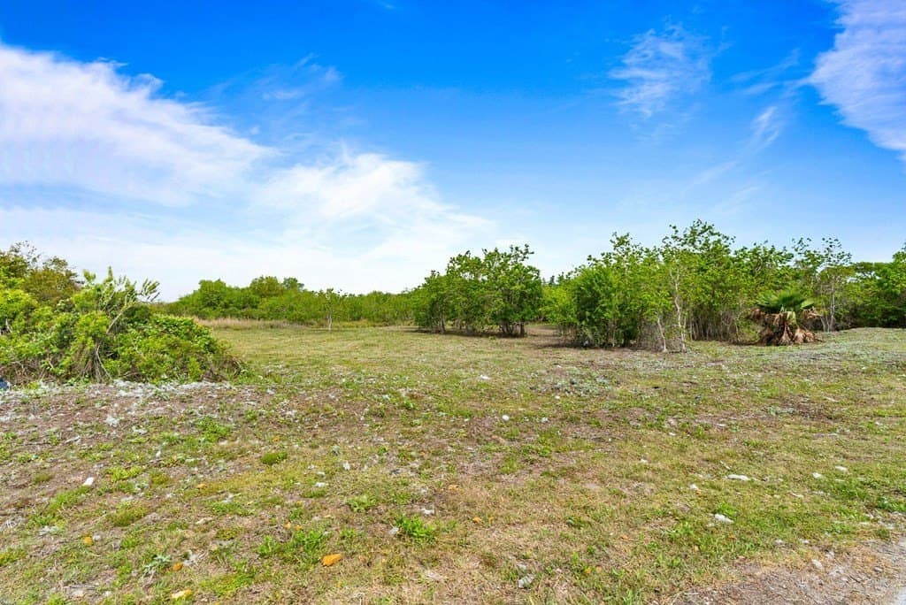 0.8 acres in Texas County - photo 11