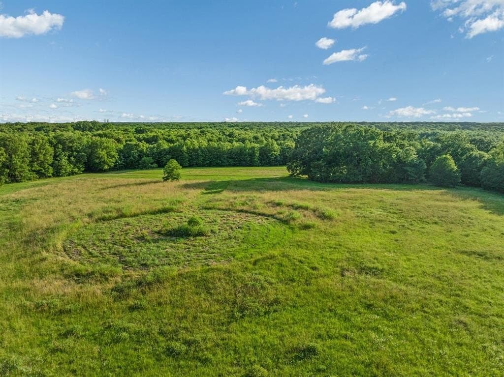 121.93 acres in Lamar County featured view