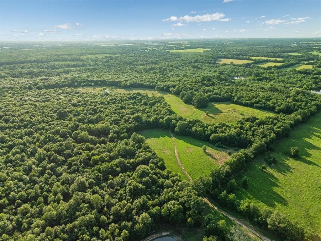 121.93 acres in Lamar County