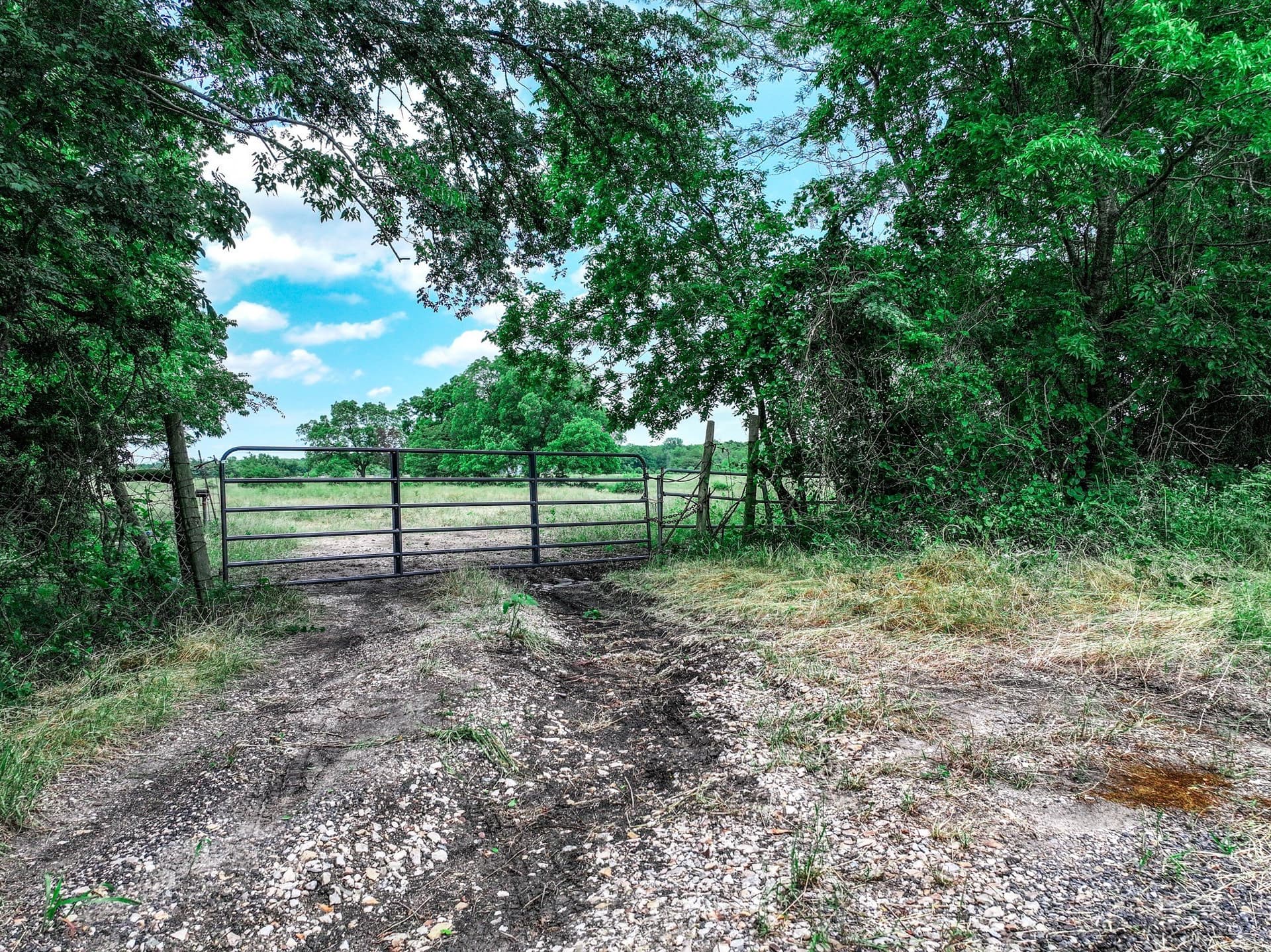 66.68 acres in Delta County gallery image 2