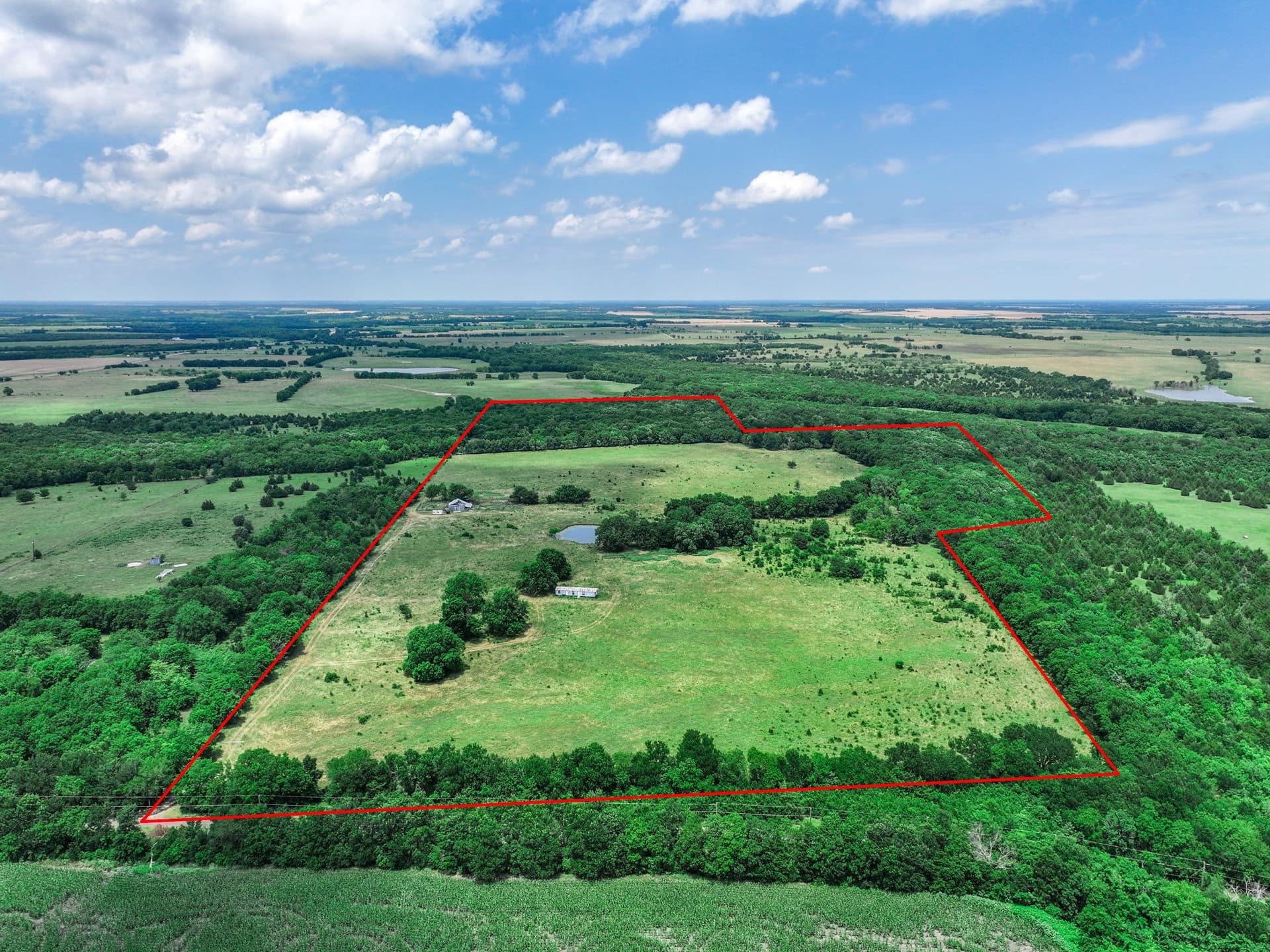 66.68 acres in Delta County gallery image 3