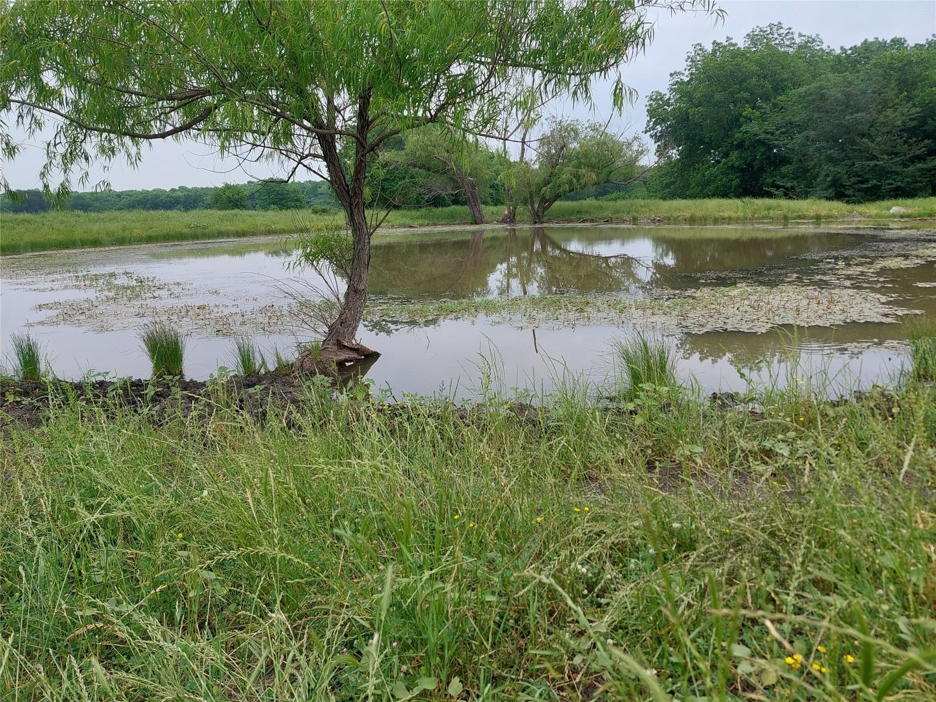 66.68 acres in Delta County featured view