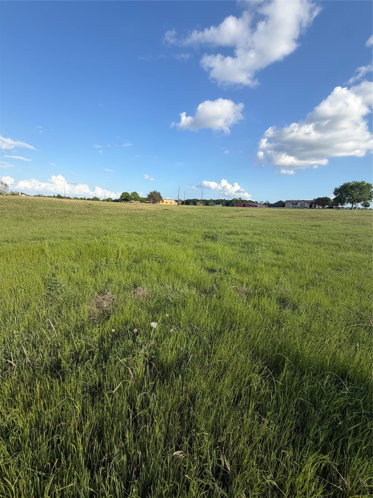 1.57 acres in Fannin County - photo 3