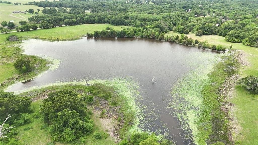 640 acres in Van Zandt County gallery image 4