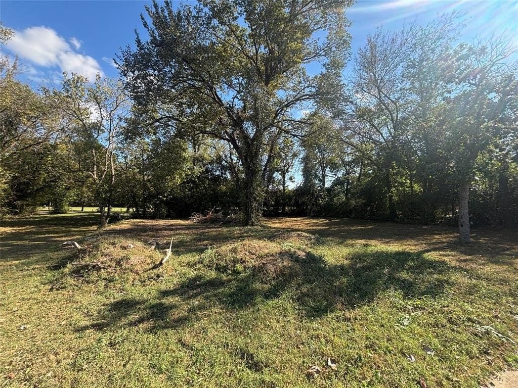 0.08 acres in Dallas County gallery image 2