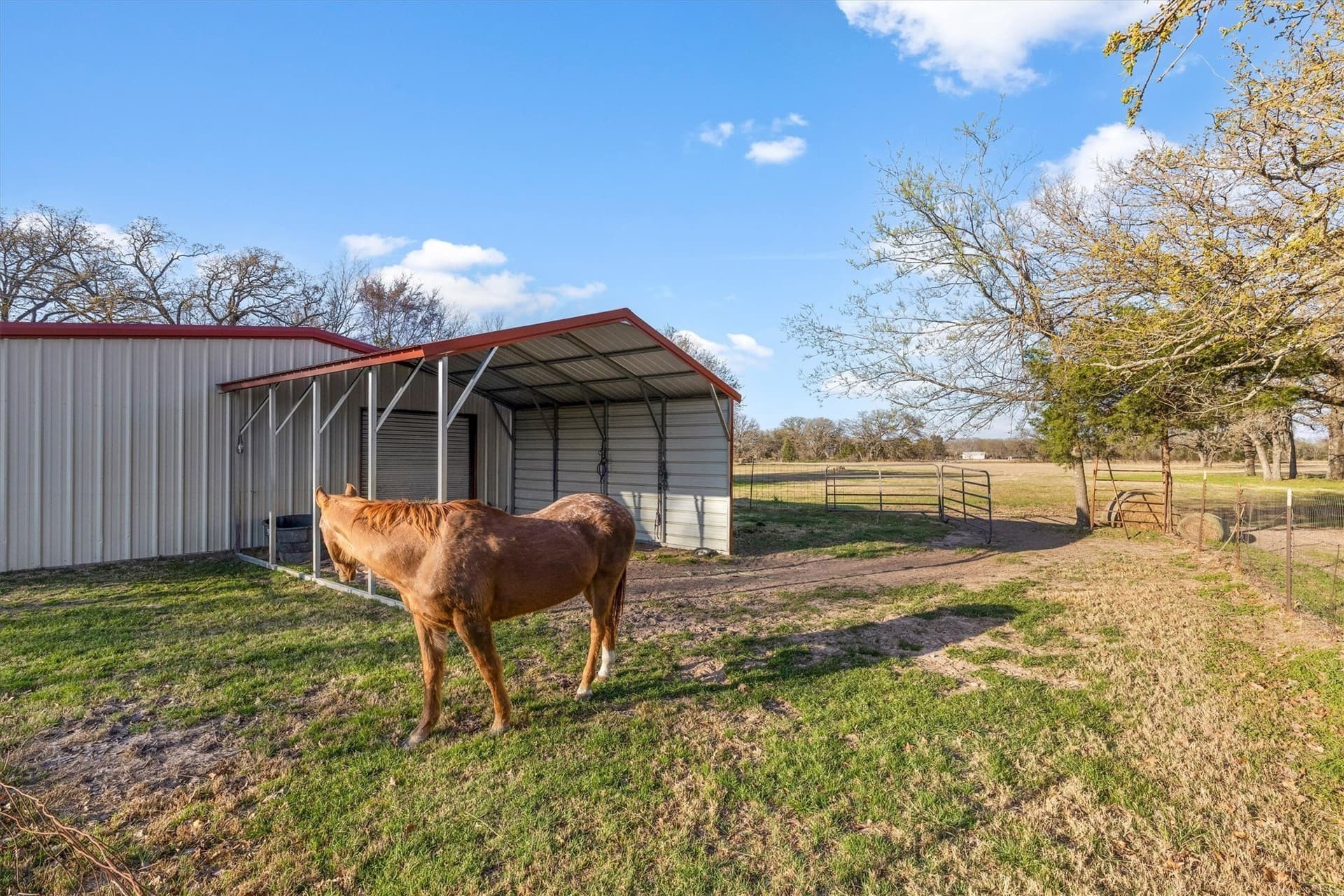 29.94 acres in Kaufman County - photo 32