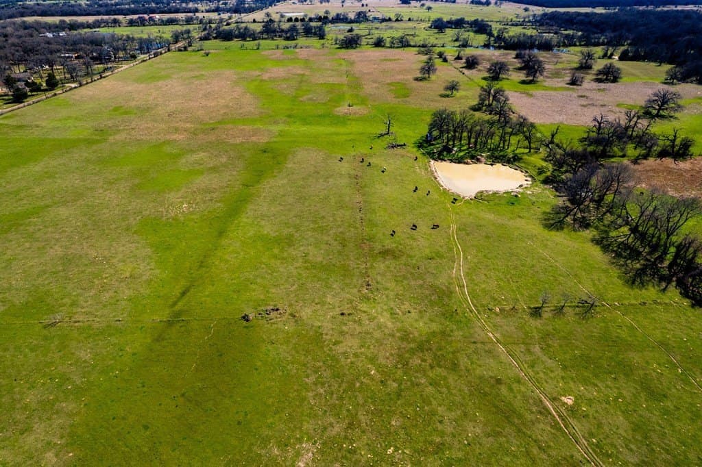 10.01 acres in Henderson County gallery image 3