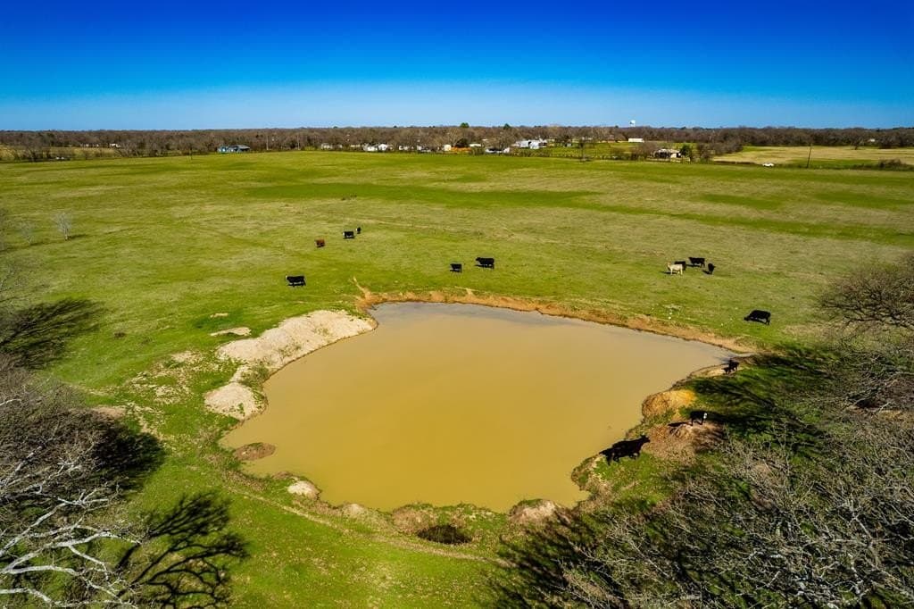 10.01 acres in Henderson County gallery image 4