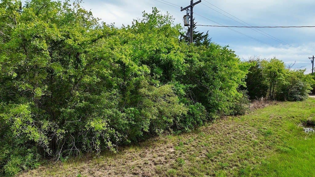 7.7 acres in Lee County gallery image 4