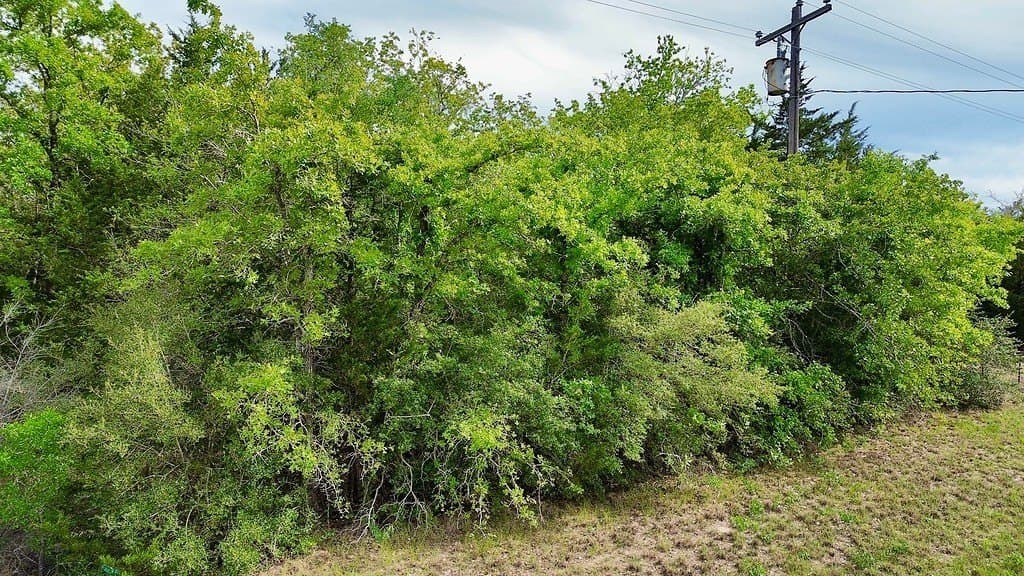 7.7 acres in Lee County featured view