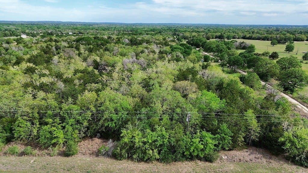 7.7 acres in Lee County gallery image 2