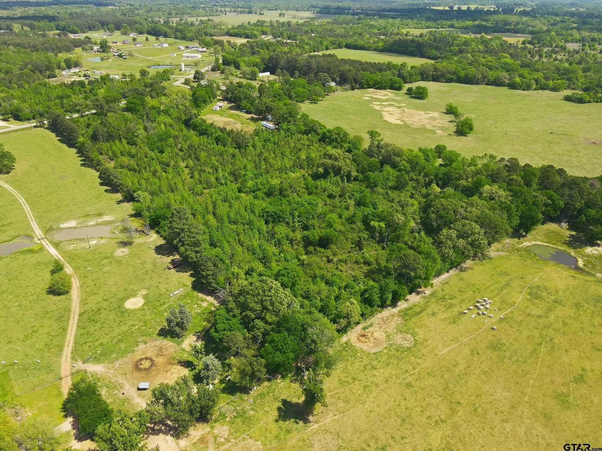 14 acres in Camp County - photo 6