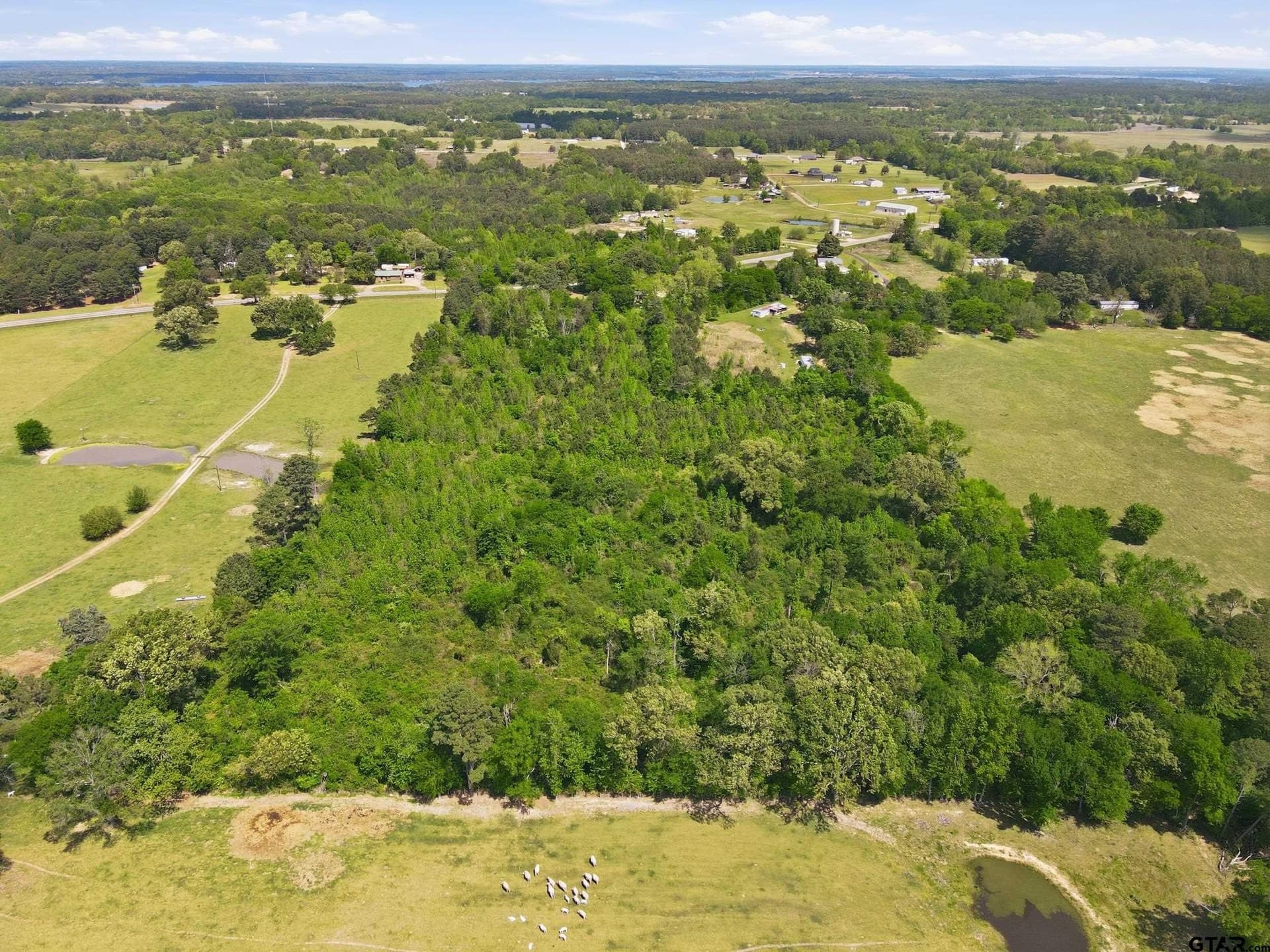14 acres in Camp County - photo 7