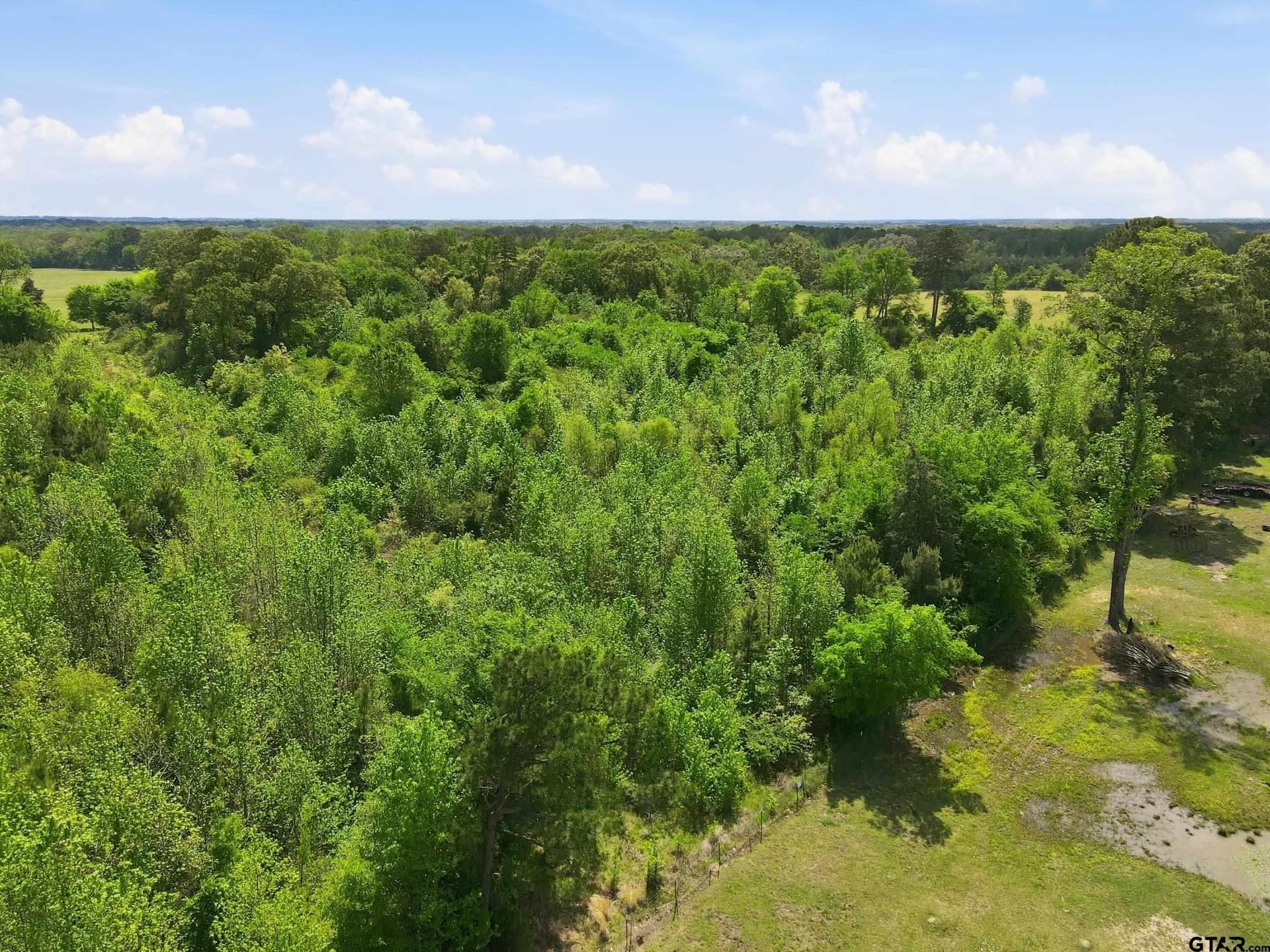 14 acres in Camp County - photo 10