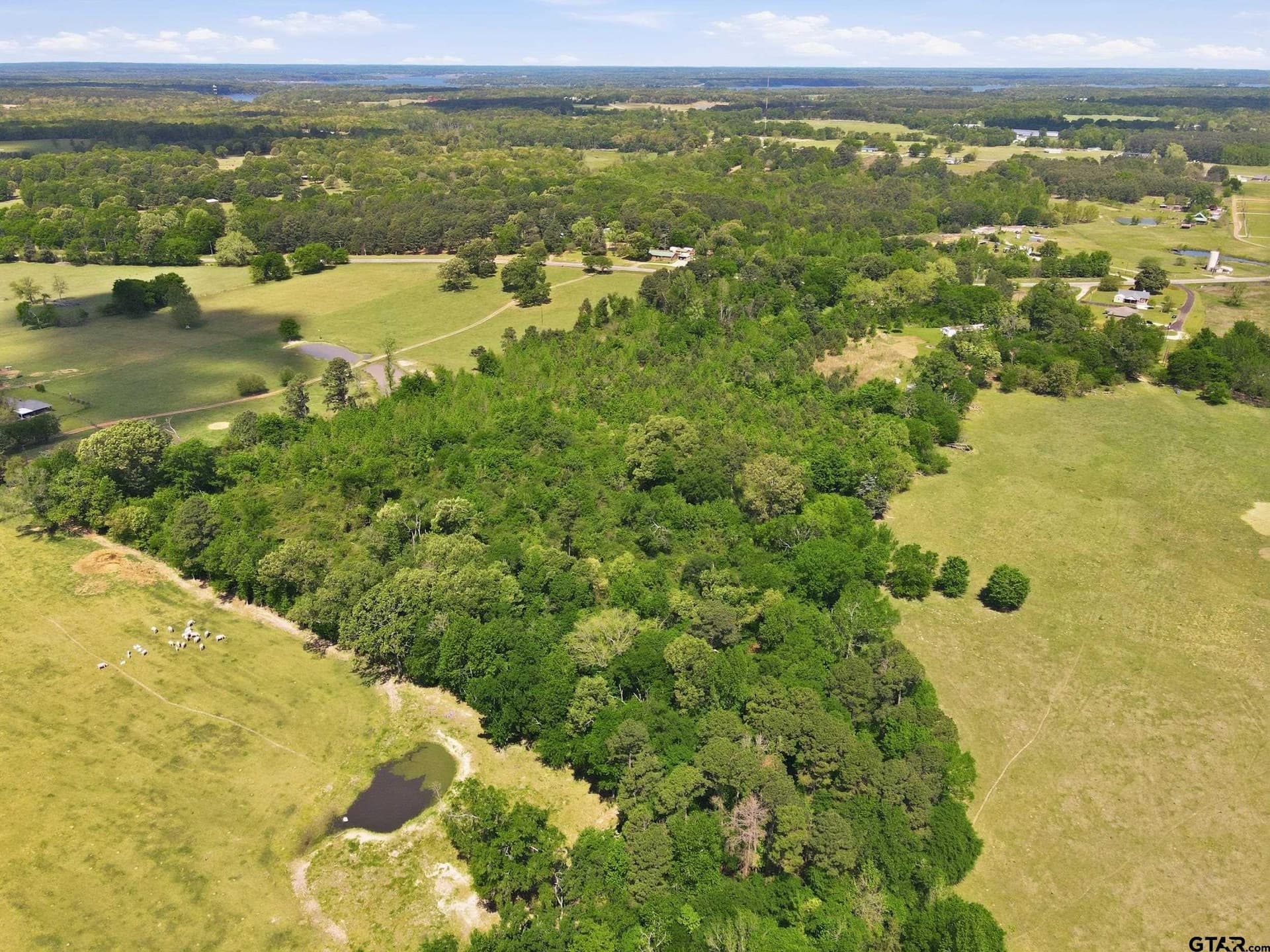 14 acres in Camp County - photo 8