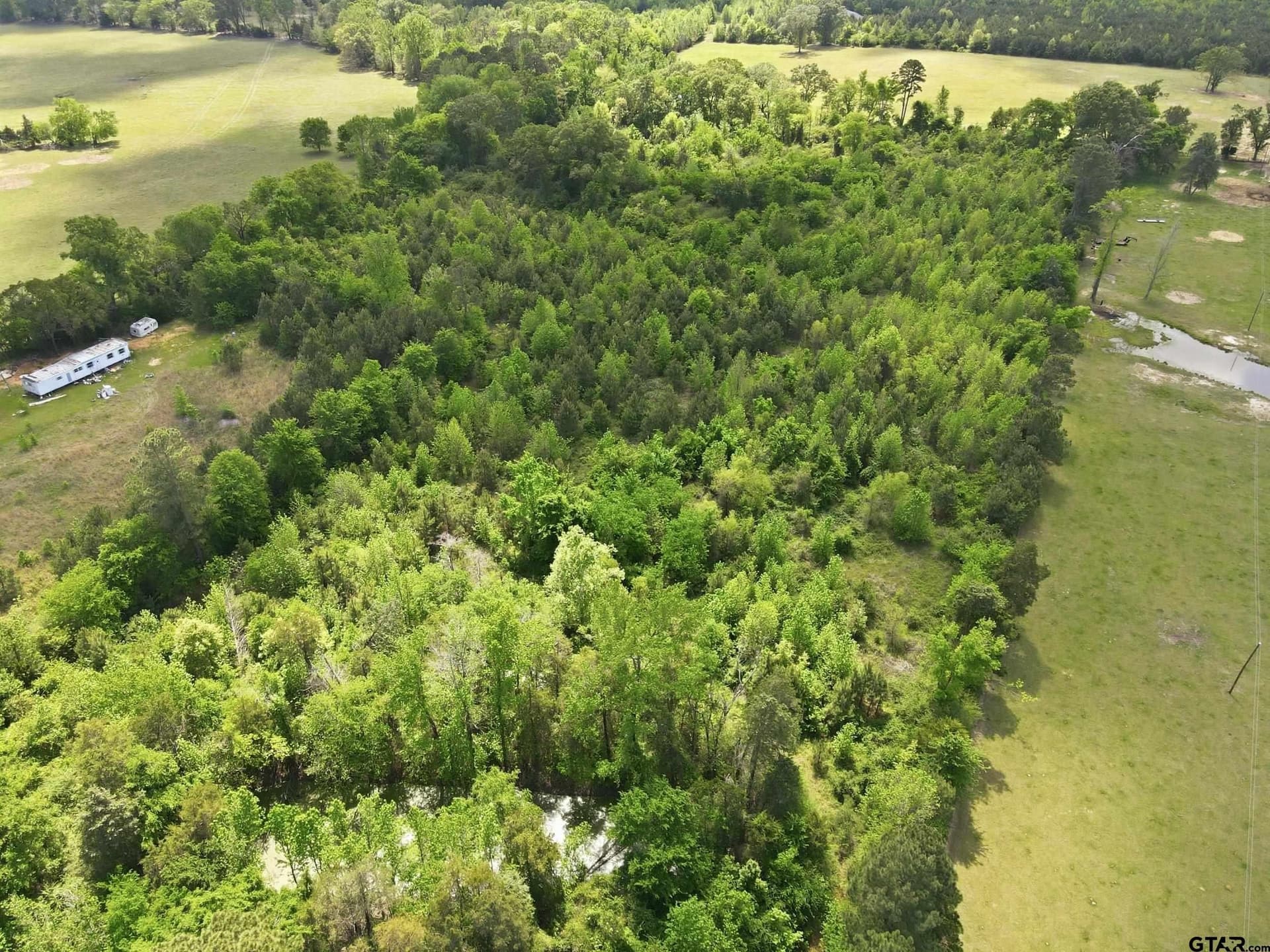 14 acres in Camp County - photo 11