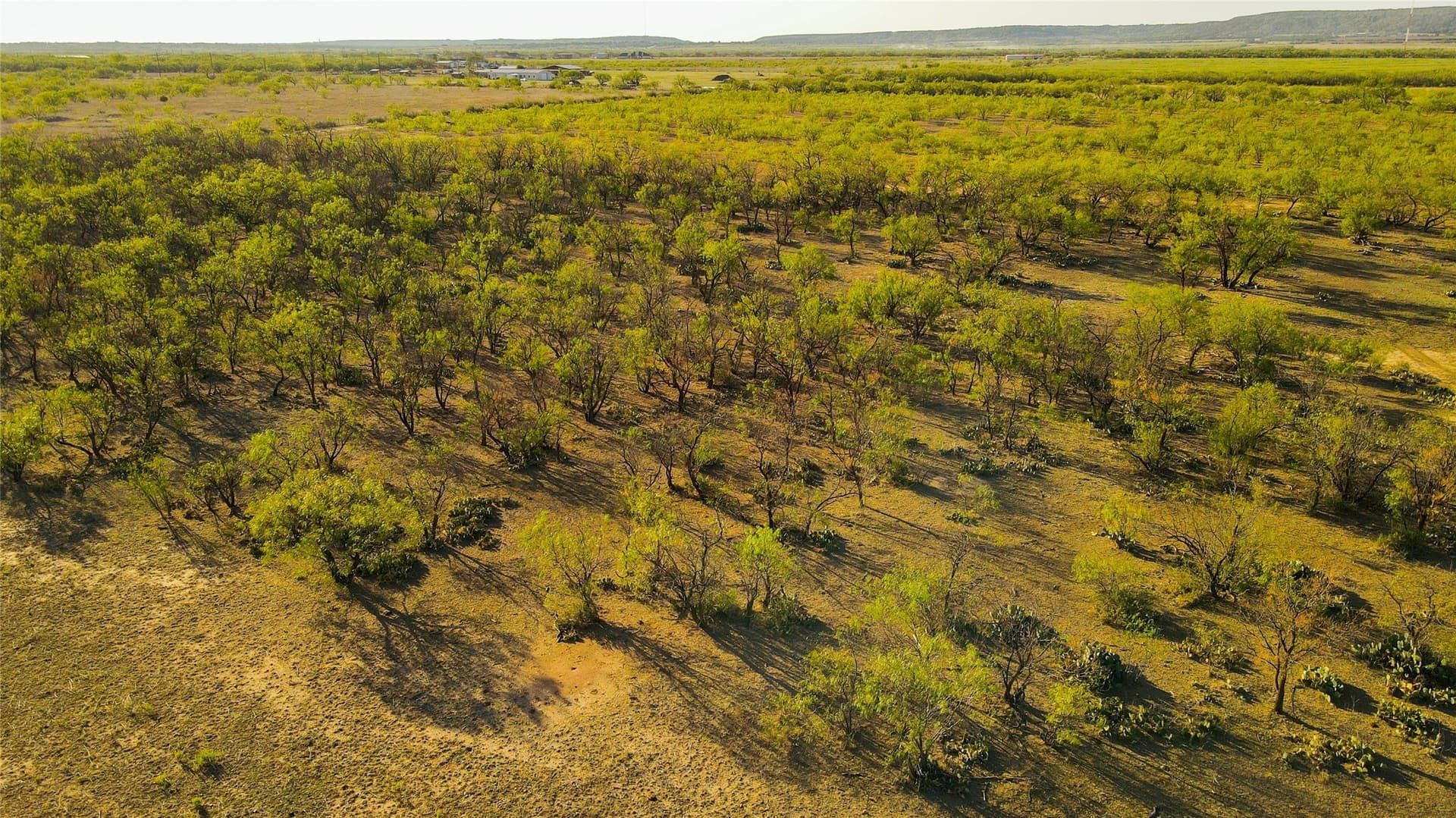 66.46 acres in Taylor County - photo 28