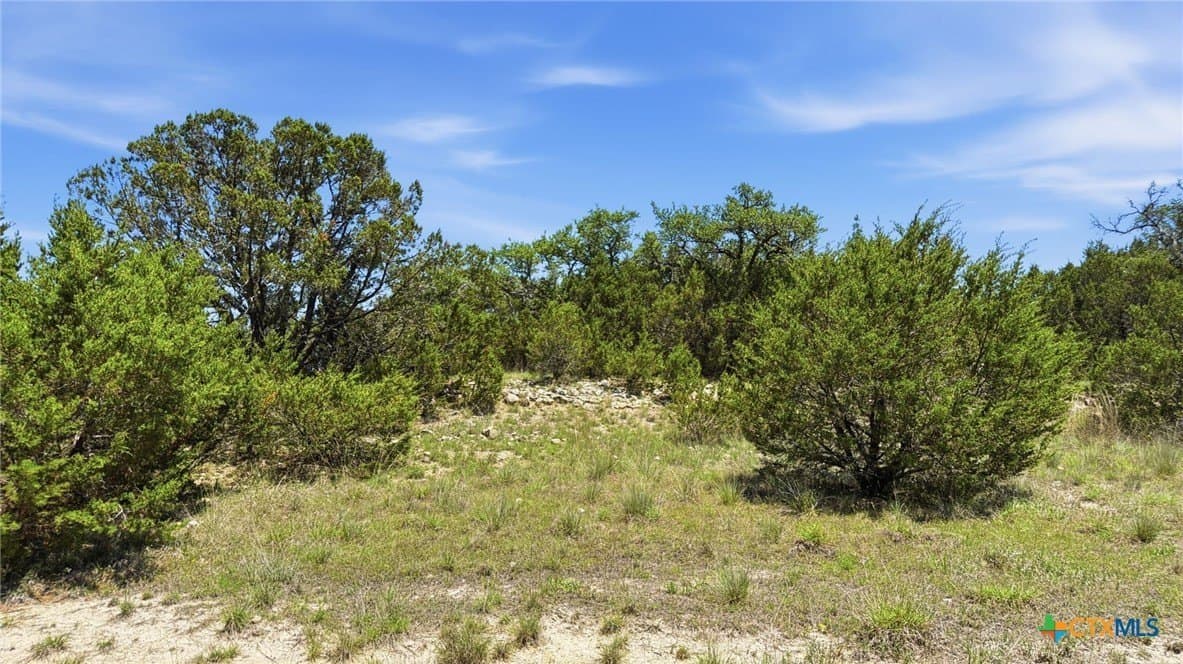 10.04 acres in Hamilton County - photo 7