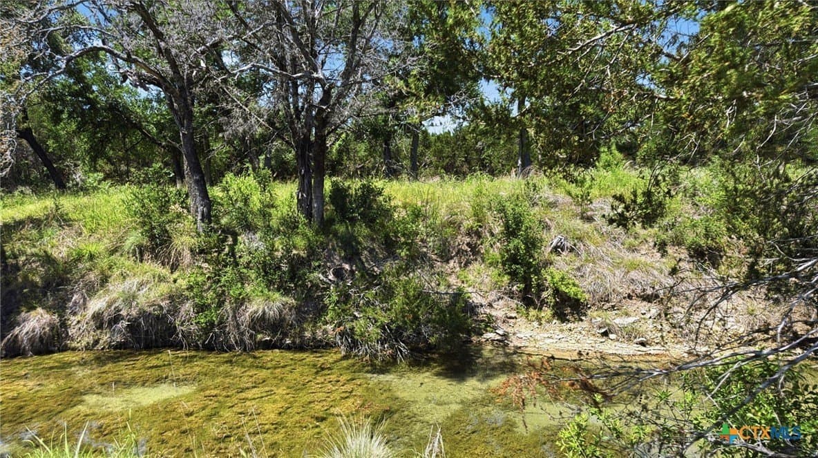 10.04 acres in Hamilton County - photo 12