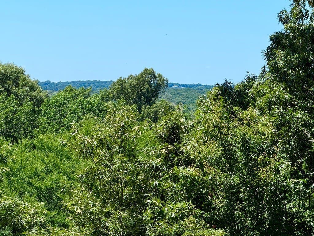 1.51 acres in Henderson County - photo 3
