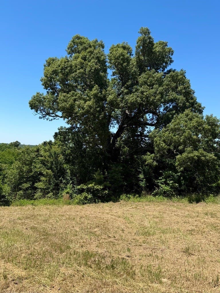 1.51 acres in Henderson County - photo 4