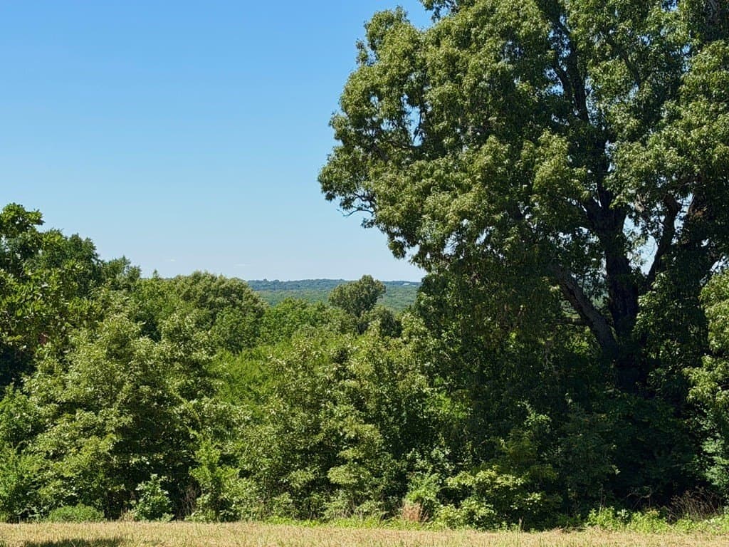 1.51 acres in Henderson County