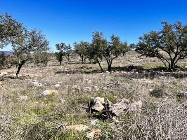 1.81 acres in Burnet County - photo 7