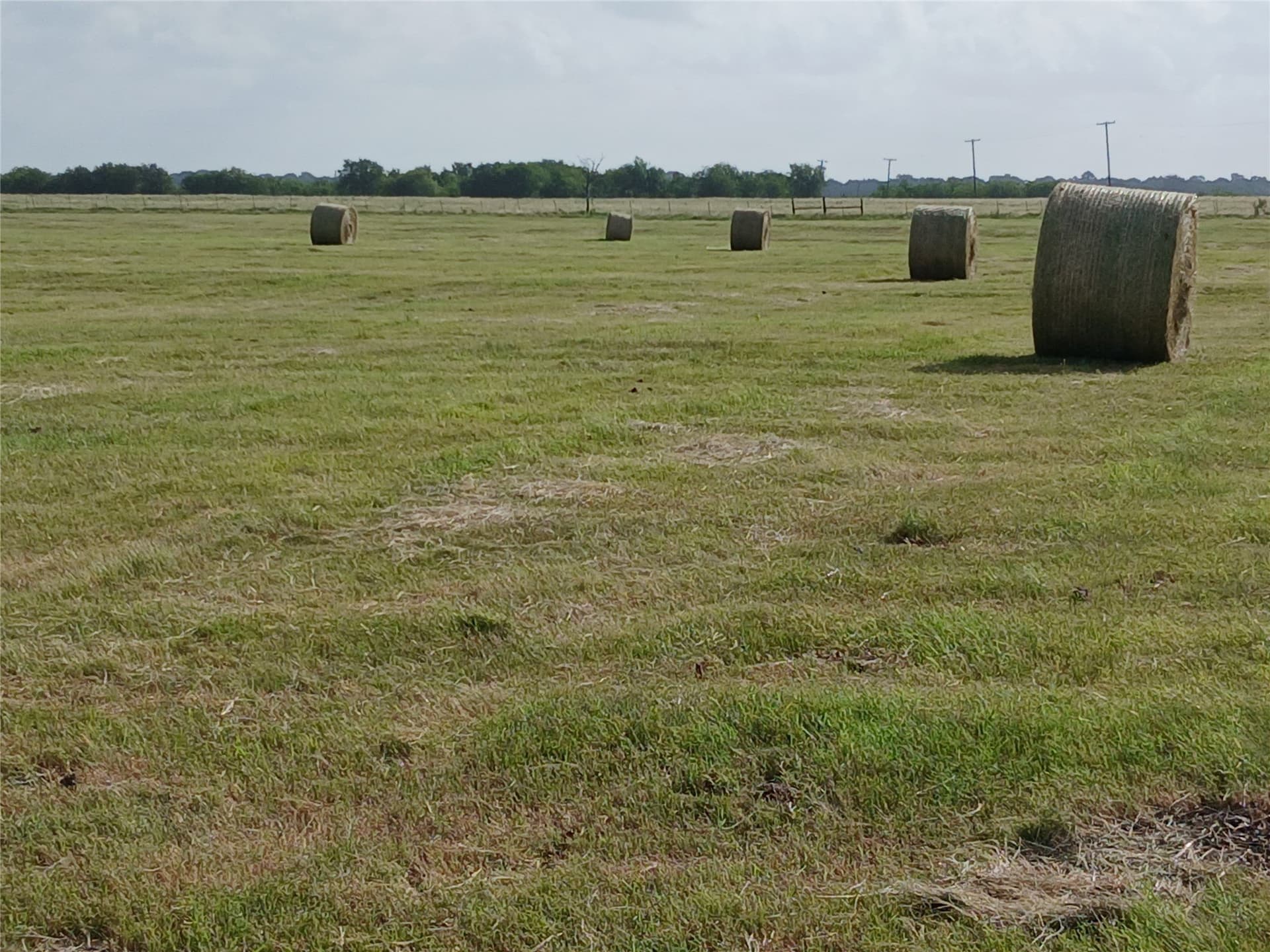 31 acres in Hill County - photo 13