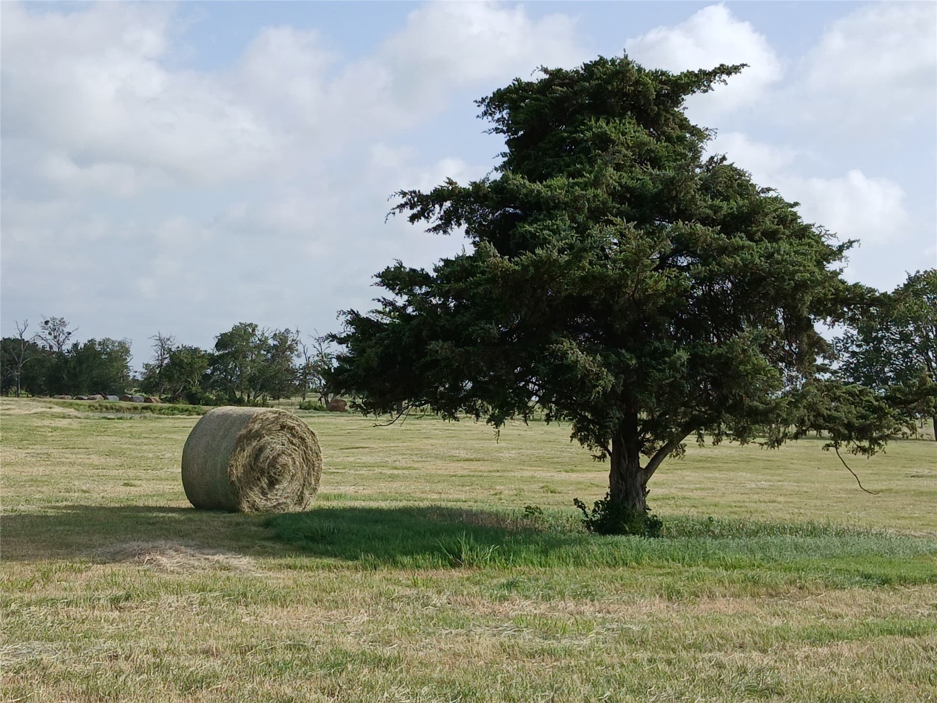 31 acres in Hill County - photo 12