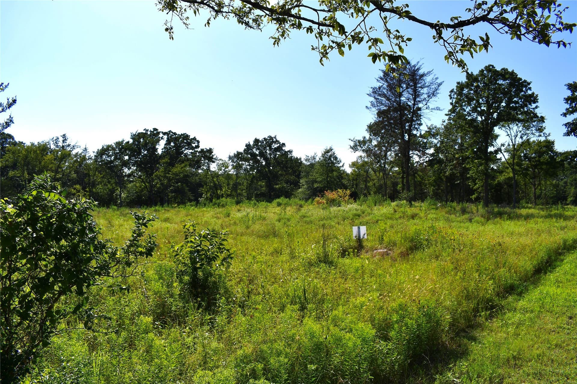 1.1 acres in Hopkins County - photo 14
