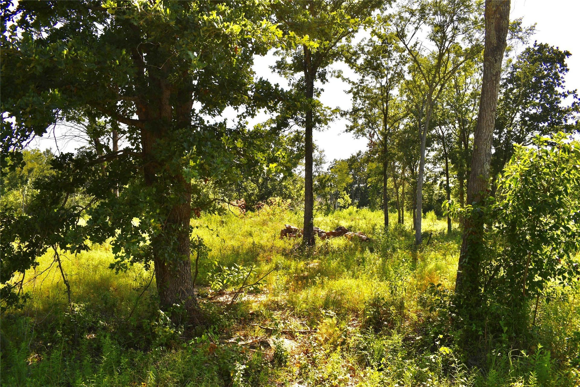 1.1 acres in Hopkins County - photo 7