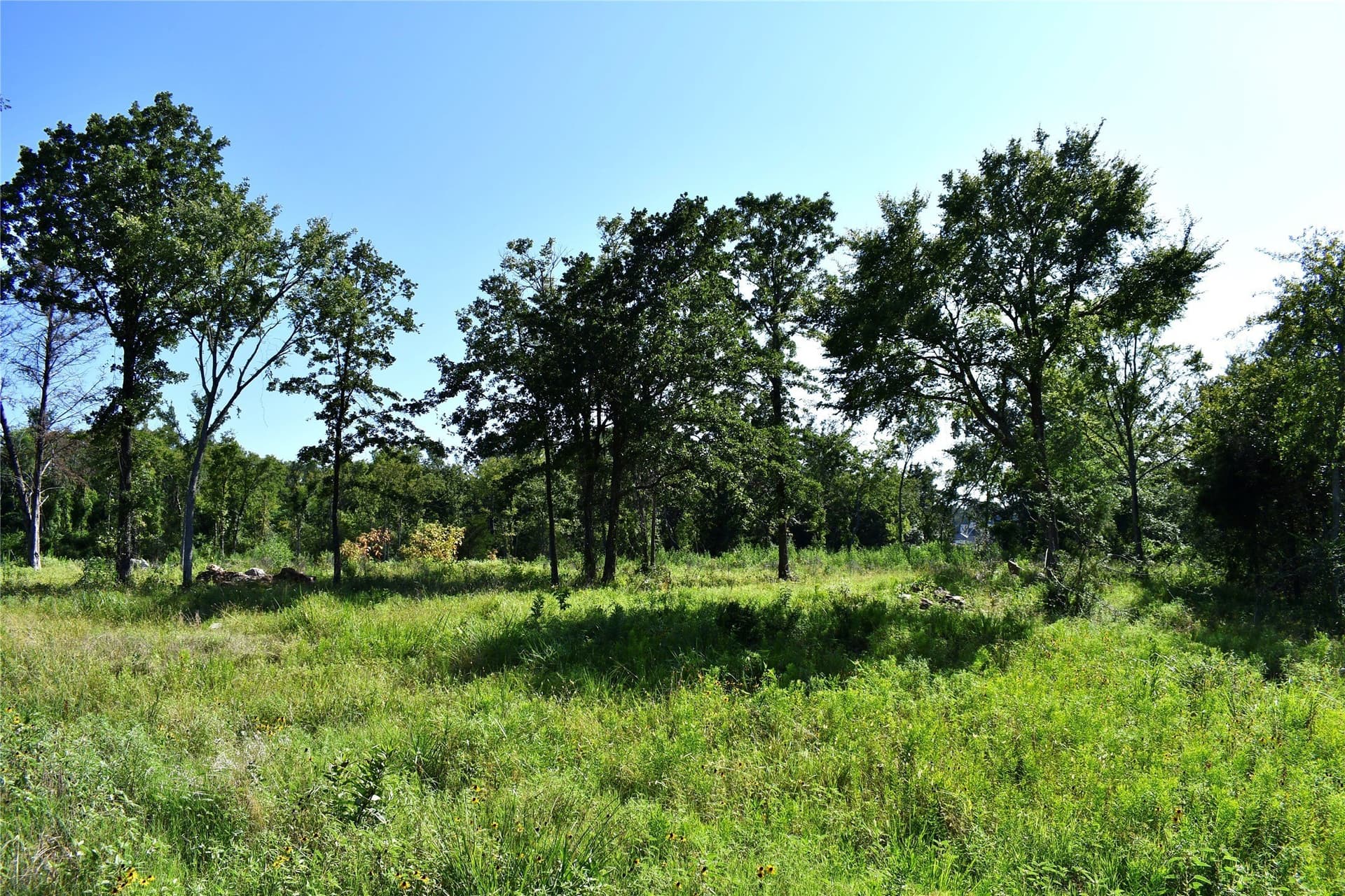 1.1 acres in Hopkins County - photo 5