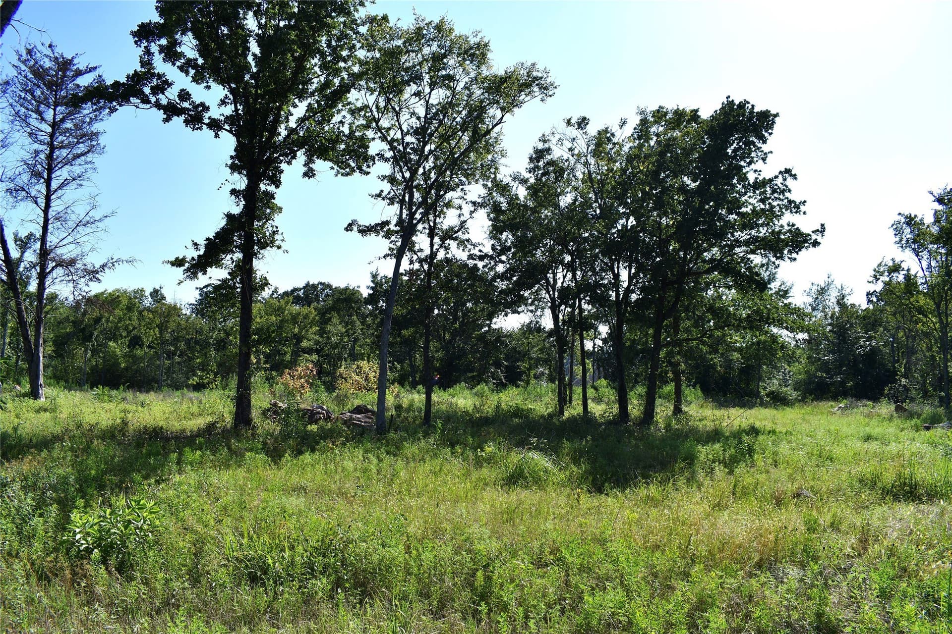1.1 acres in Hopkins County - photo 6