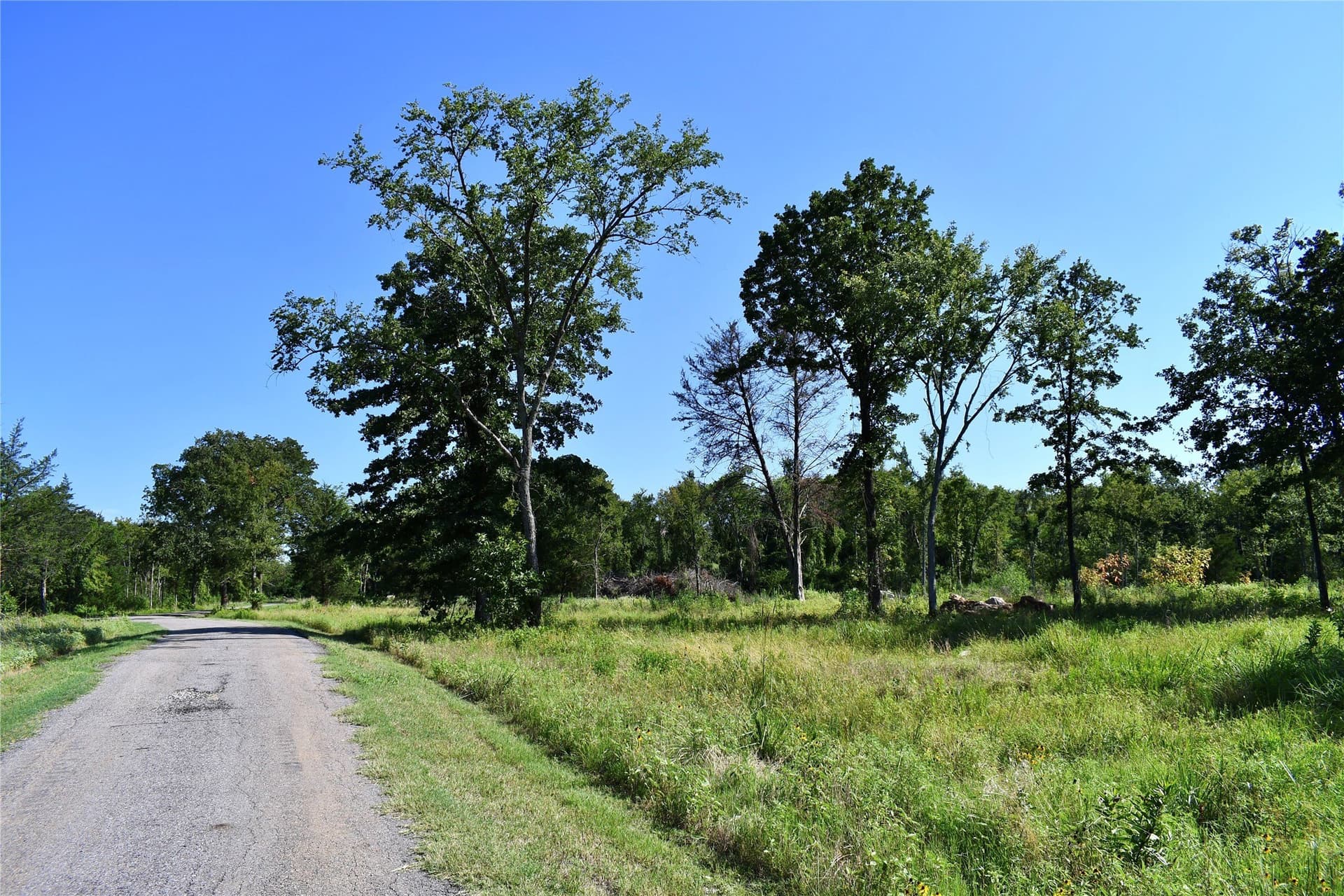 1.1 acres in Hopkins County - photo 4