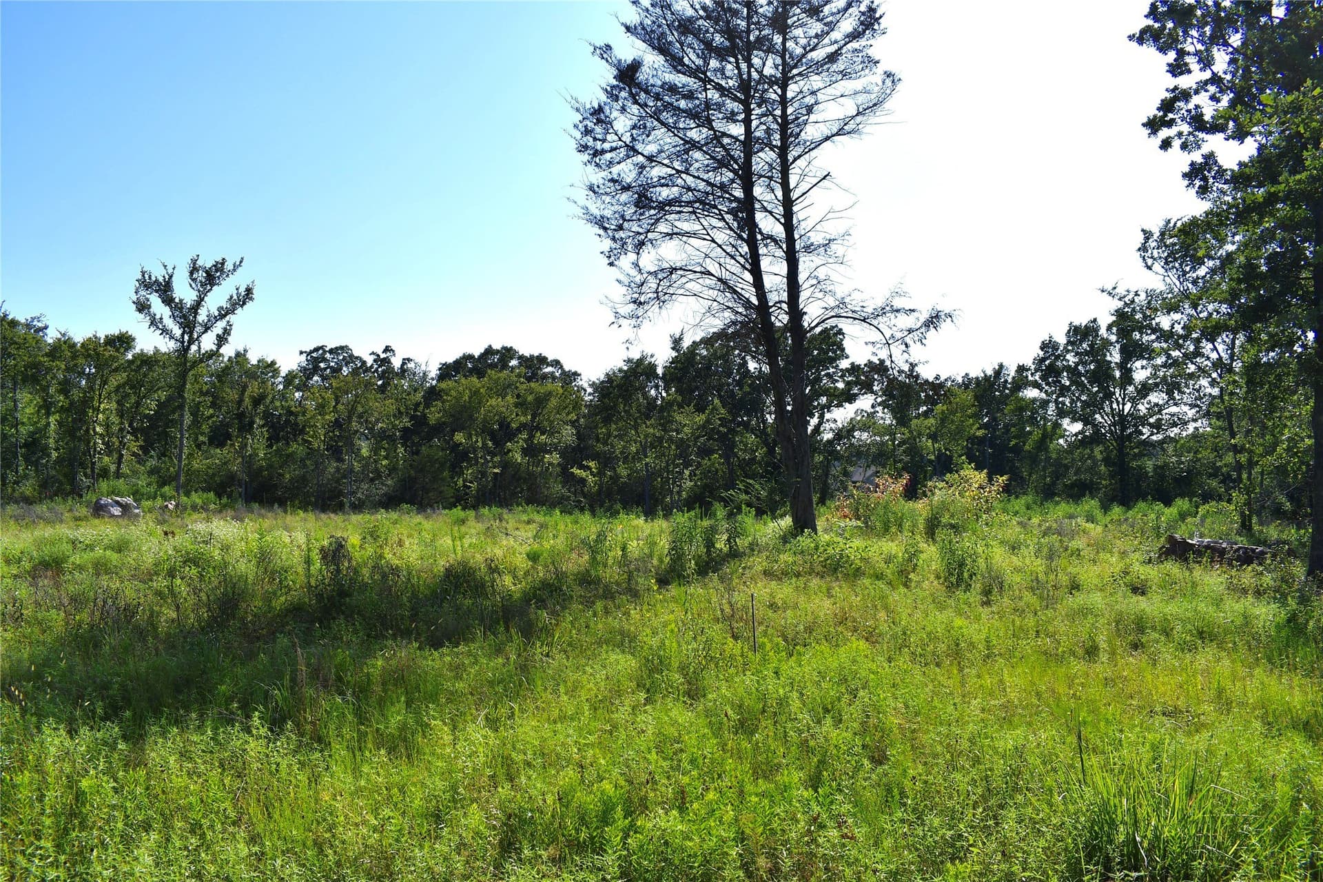 1.1 acres in Hopkins County - photo 8